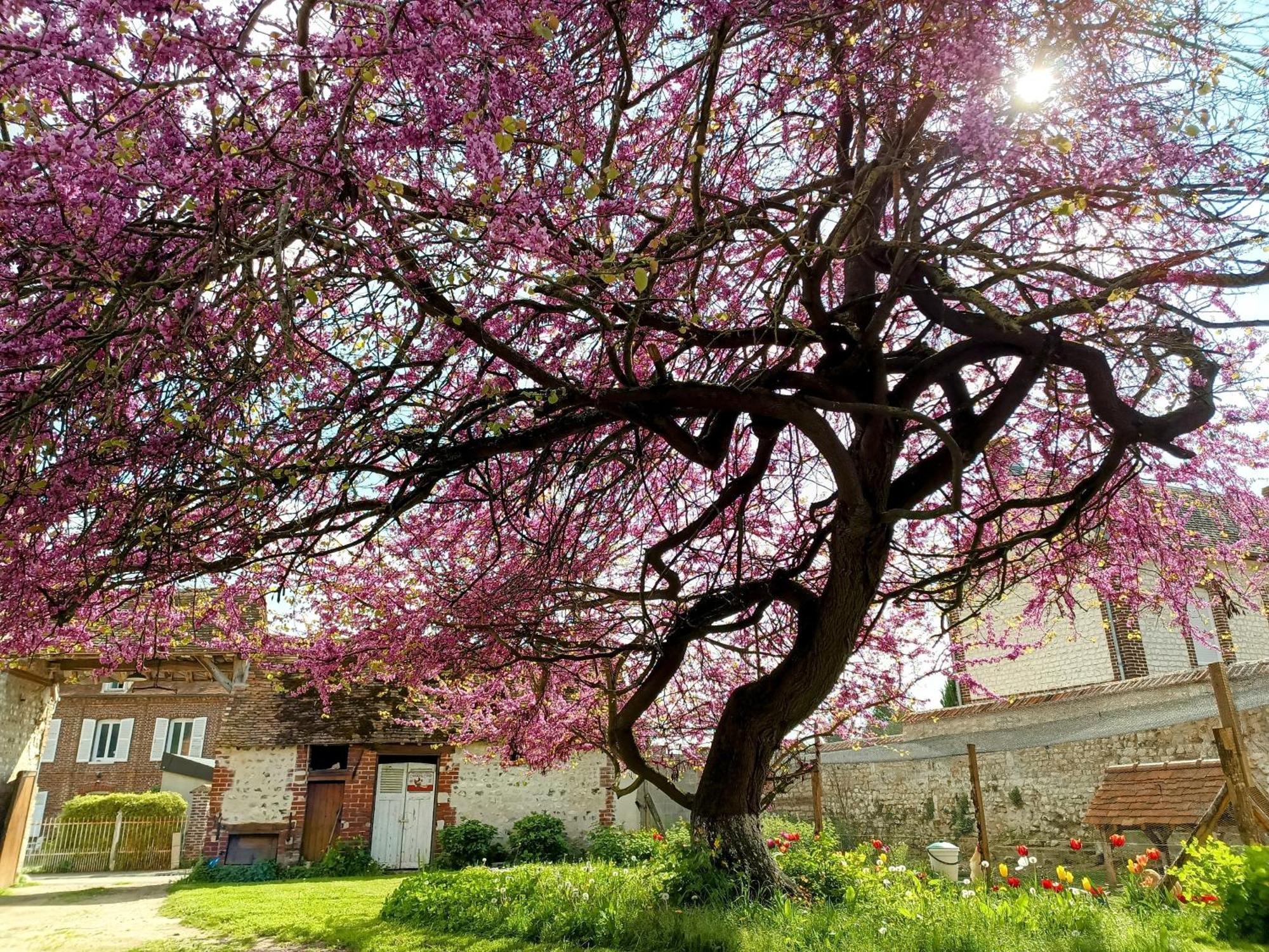 Les Jardins De Felicie Villa Poses Exterior photo